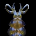 squid_reef_bigfin_bb_v_1419_alo3512.jpg